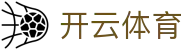 开云全站登录入口 - Kaiyun Sports 中国官方 H5 极速访问安装网址
